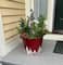 Red & White Christmas Planter Bucket with Tree Design, 2ct.